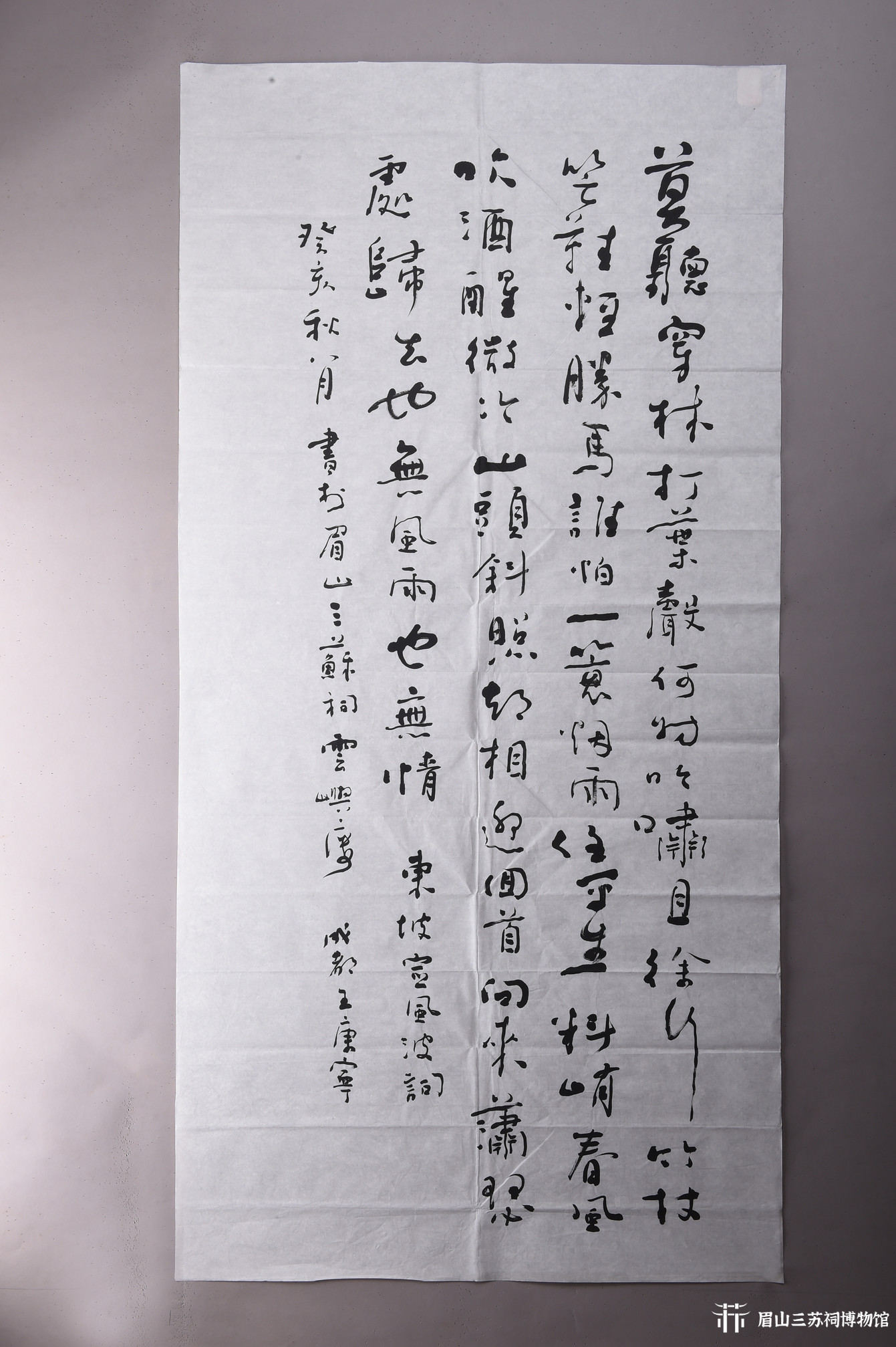 现代王康宁行书苏轼定风波词条幅-眉山三苏祠博物馆